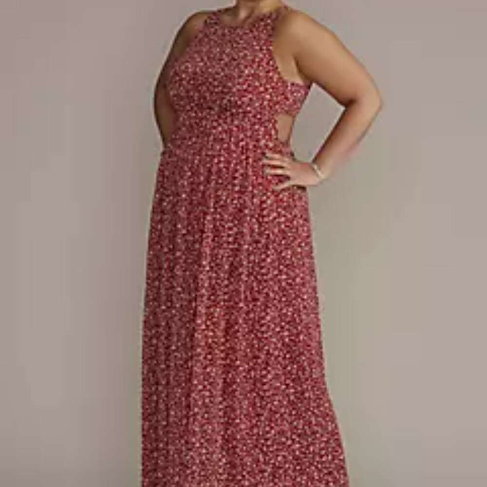 Plus Size Floral Printed Chiffon A-Line